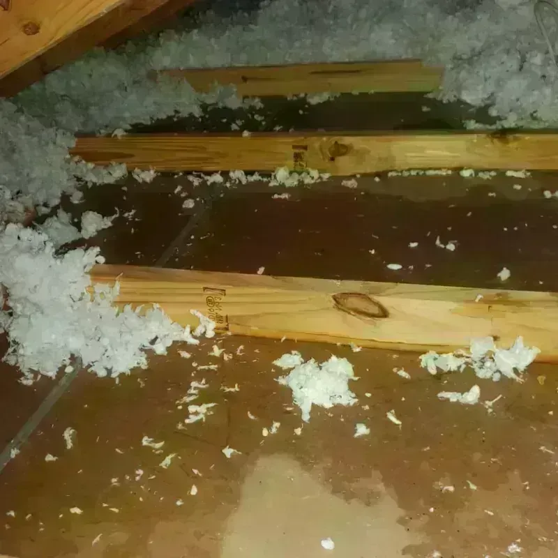 Attic Water Damage in Floral City, FL