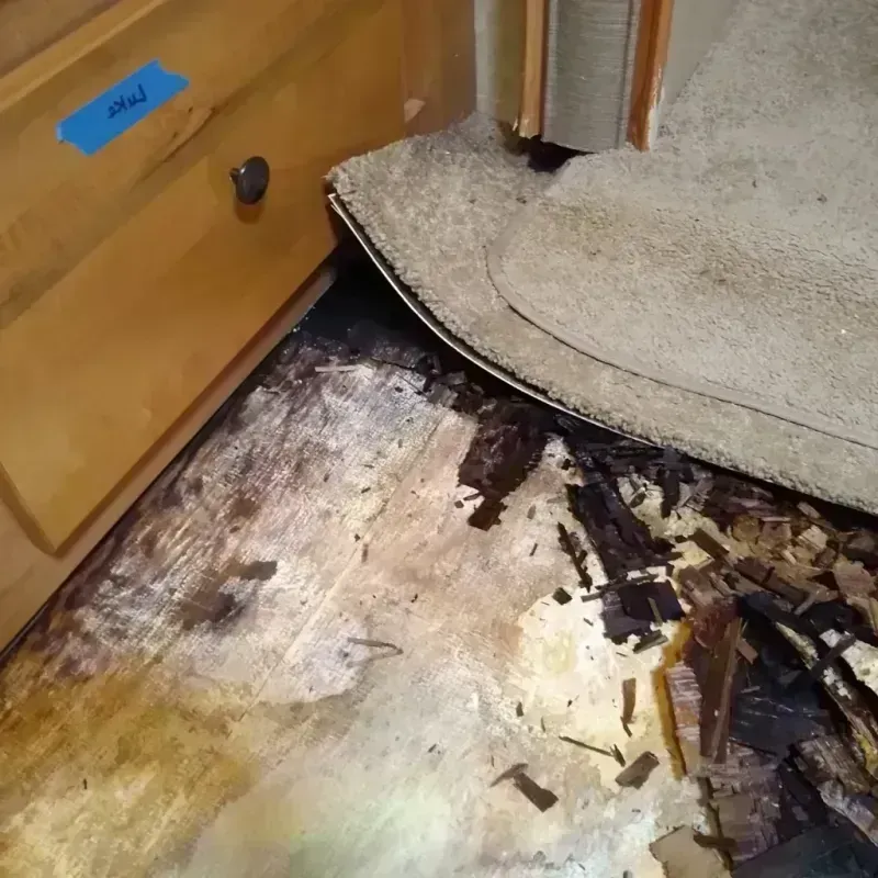 Wood Floor Water Damage in Floral City, FL